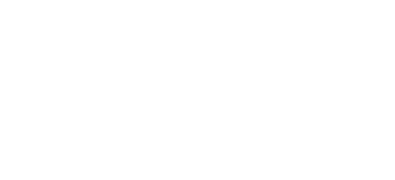 light logo